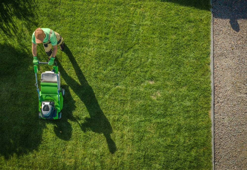 Zabiegi pielęgnacyjne trawnika – jak zadbać o swoją murawę?